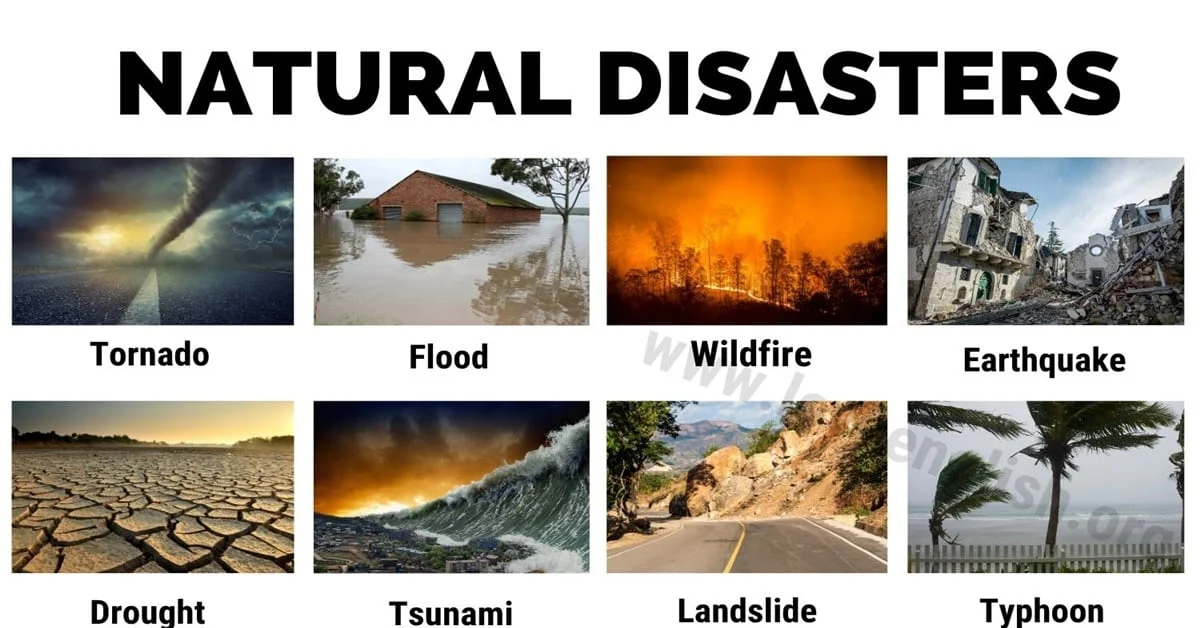 Natural Disaster English And Hindi For Students - Momslifes