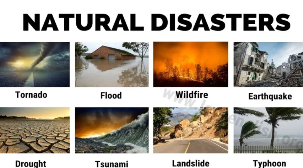 Natural Disaster English And Hindi For Students - Momslifes